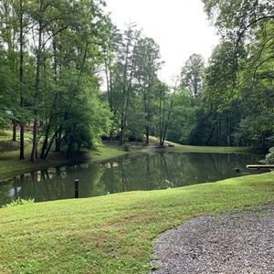 Meet your Posher, Youseline